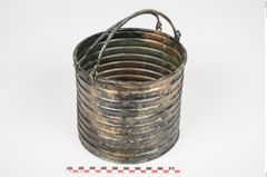 Foto von Bronzerippenziste (NHMW-PRAE-026411)
